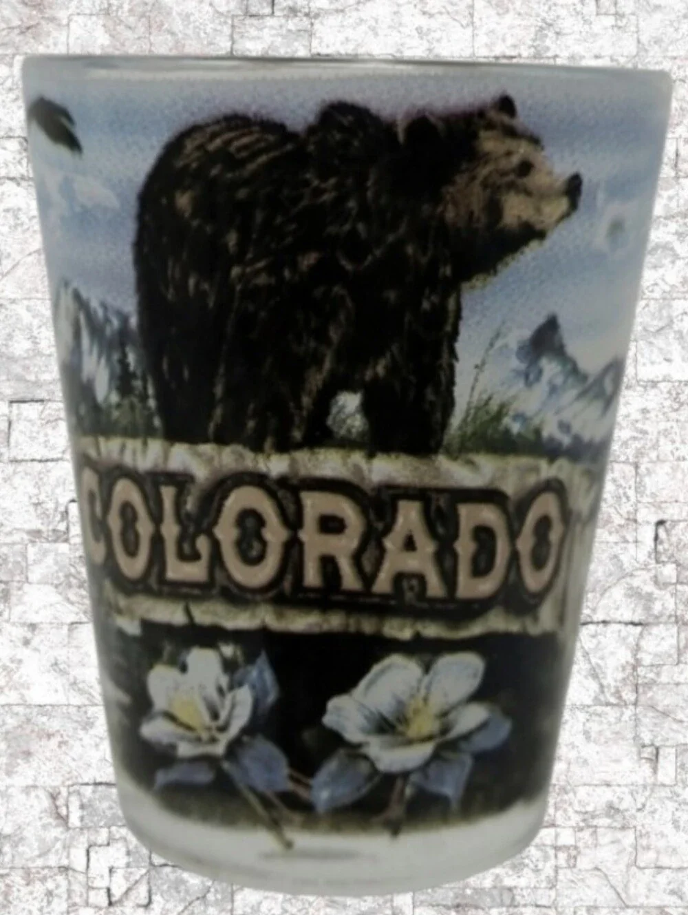COLORADO BEAR SHOT GLASS